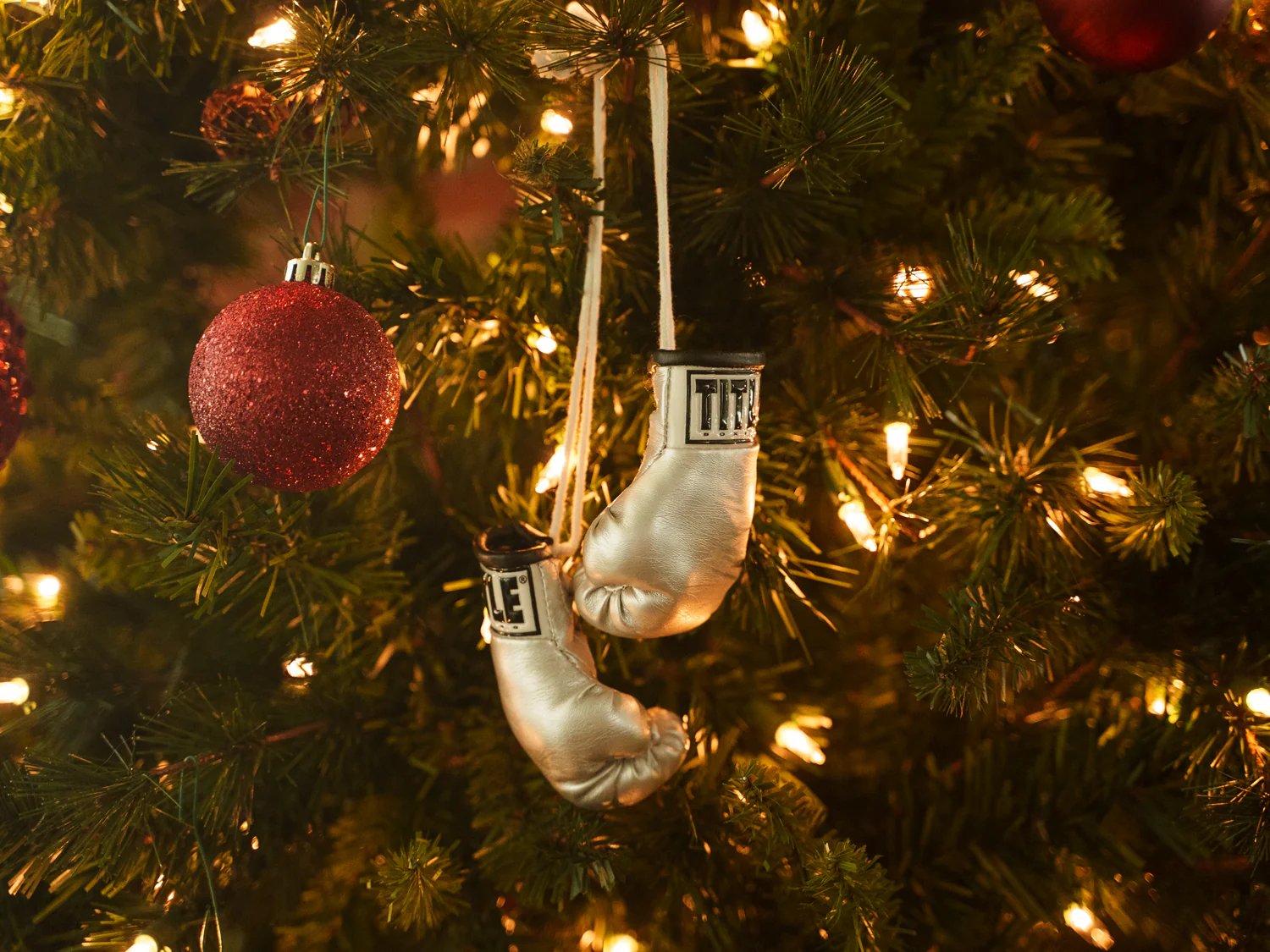 TITLE Boxing 3.5” Mini Boxing Gloves - Image 13