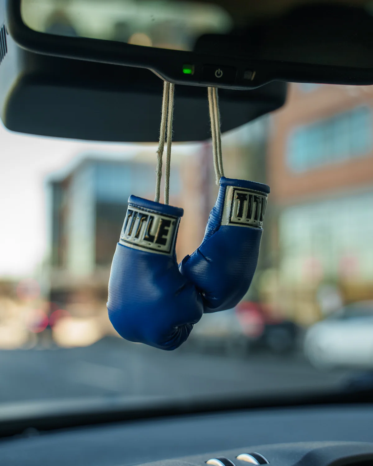 TITLE Boxing 3.5” Mini Boxing Gloves - Image 16