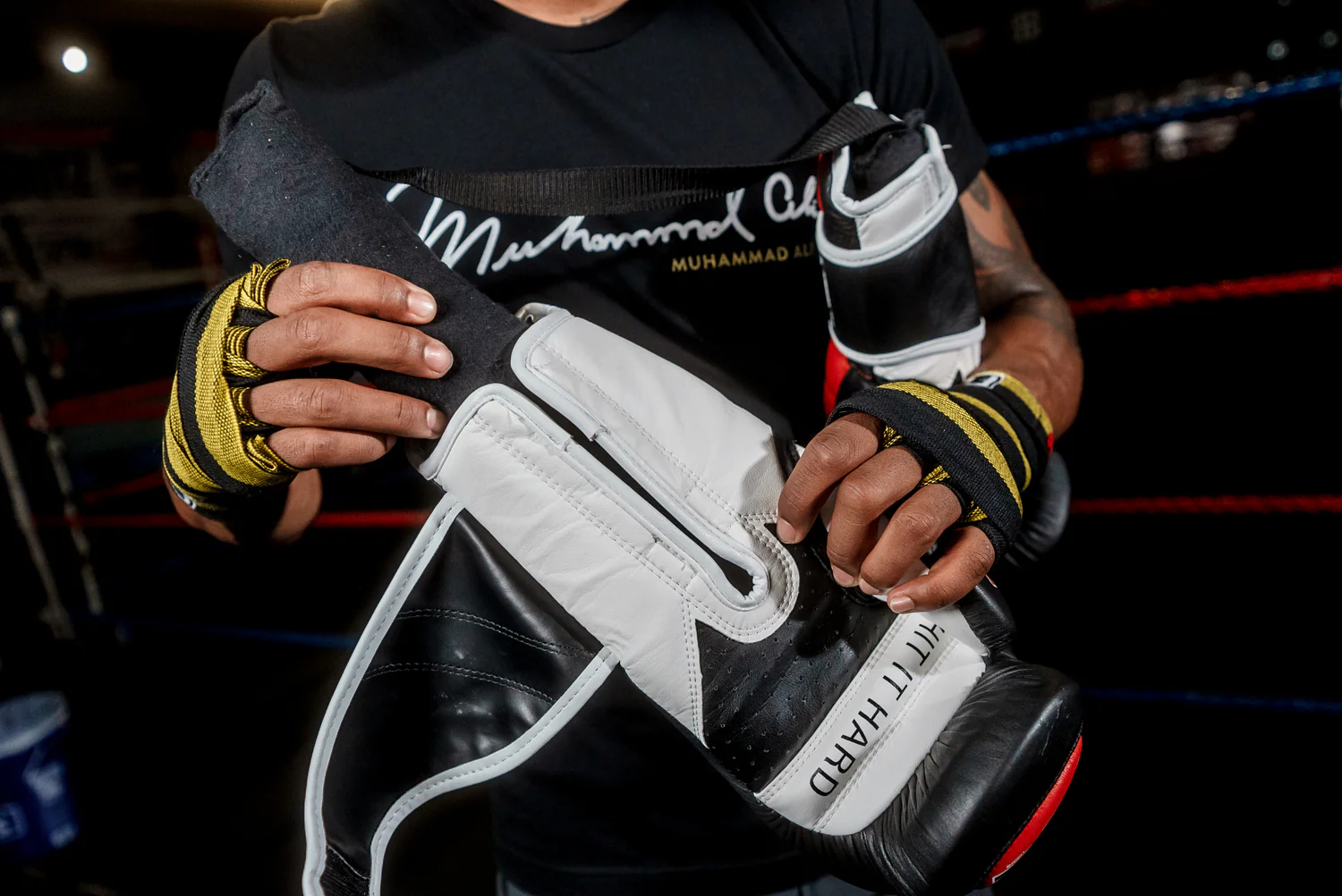 TITLE Boxing Glove Dry Devil 2.0 - Image 4