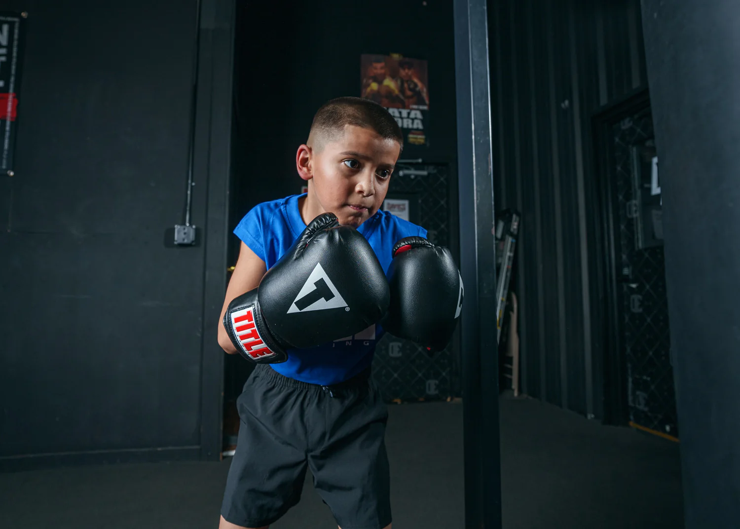 TITLE Classic Boxing Gloves - Image 8