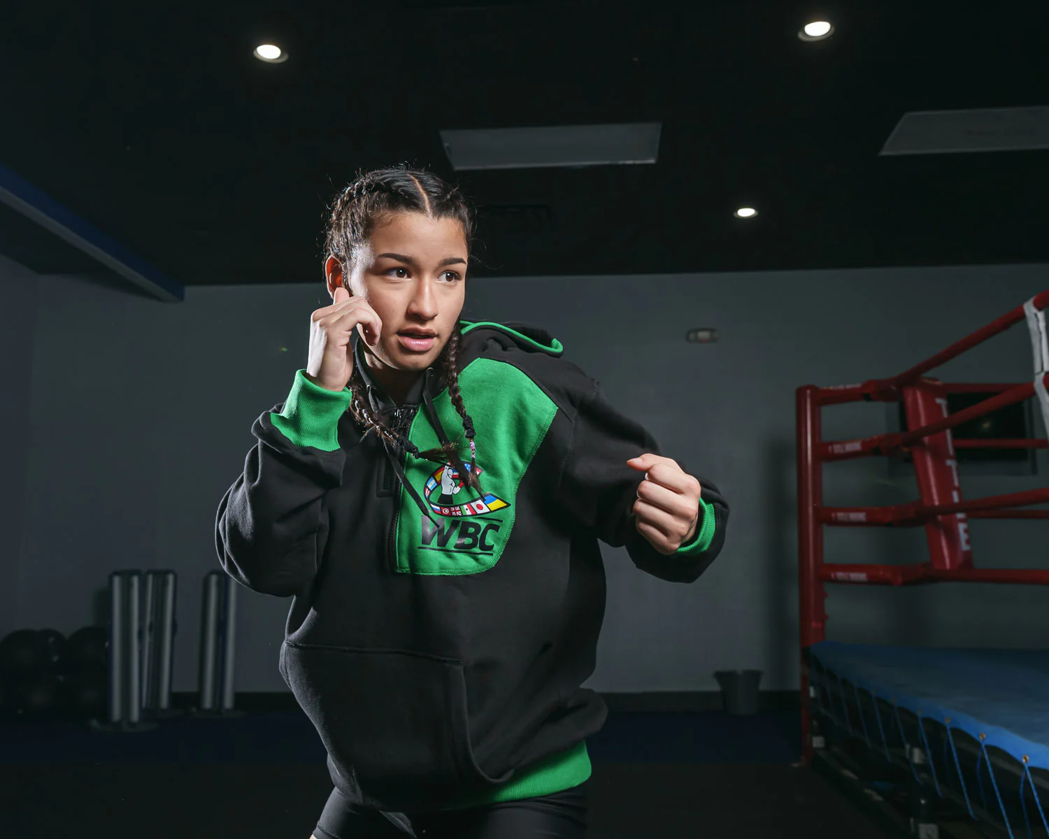 WBC by TITLE Boxing Quarter Zip Hooded Sweatshirt - Image 11