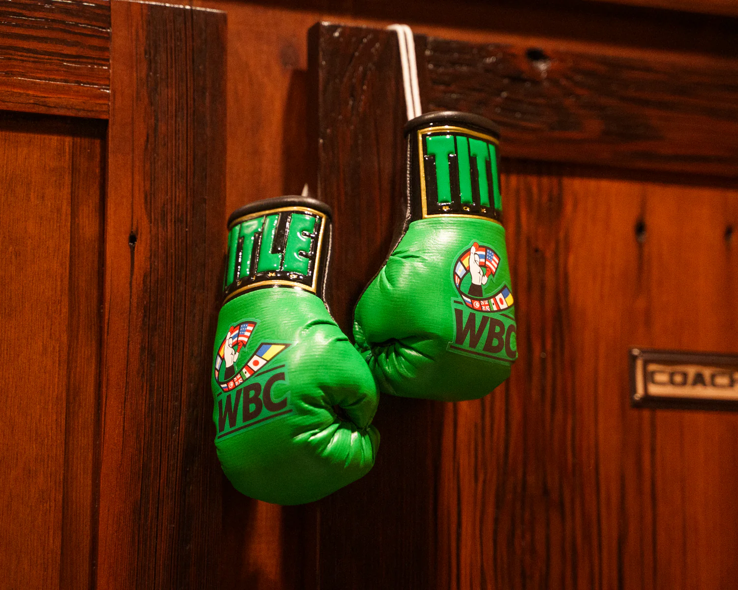 WBC by TITLE Boxing Mini Boxing Gloves - Image 4