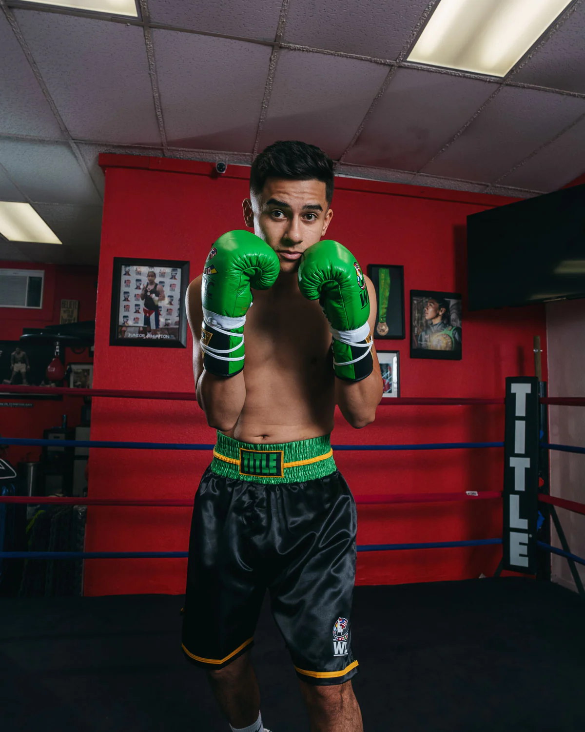 WBC by TITLE Boxing Professional Boxing Trunks - Image 14