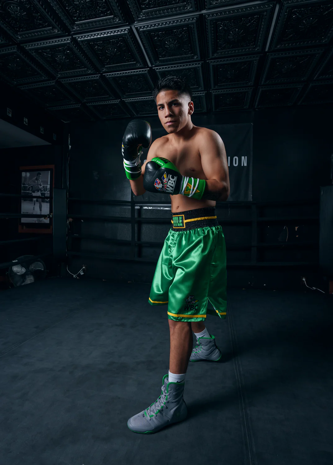 WBC by TITLE Boxing Professional Boxing Trunks - Image 7