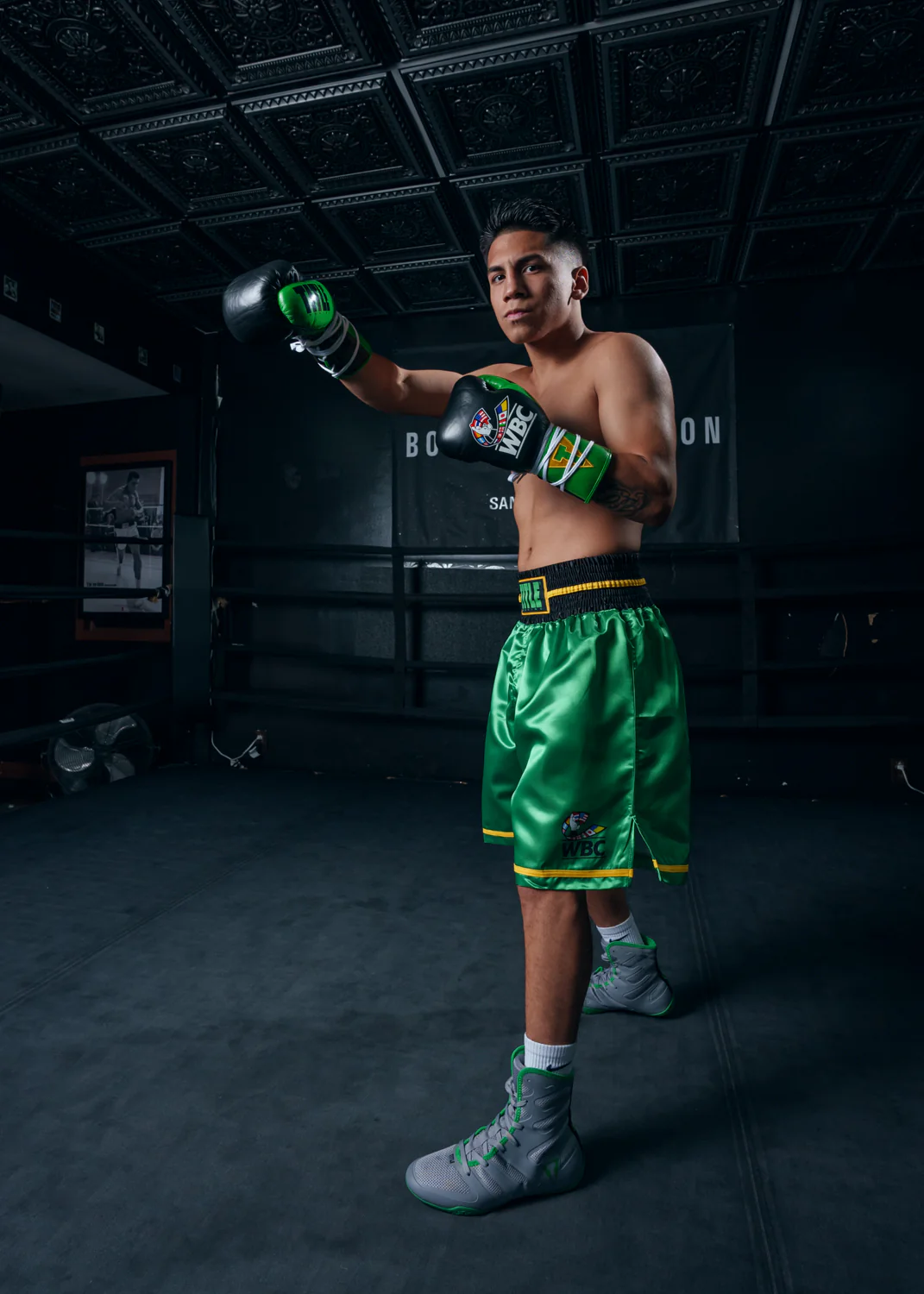 WBC by TITLE Boxing Professional Boxing Trunks - Image 9